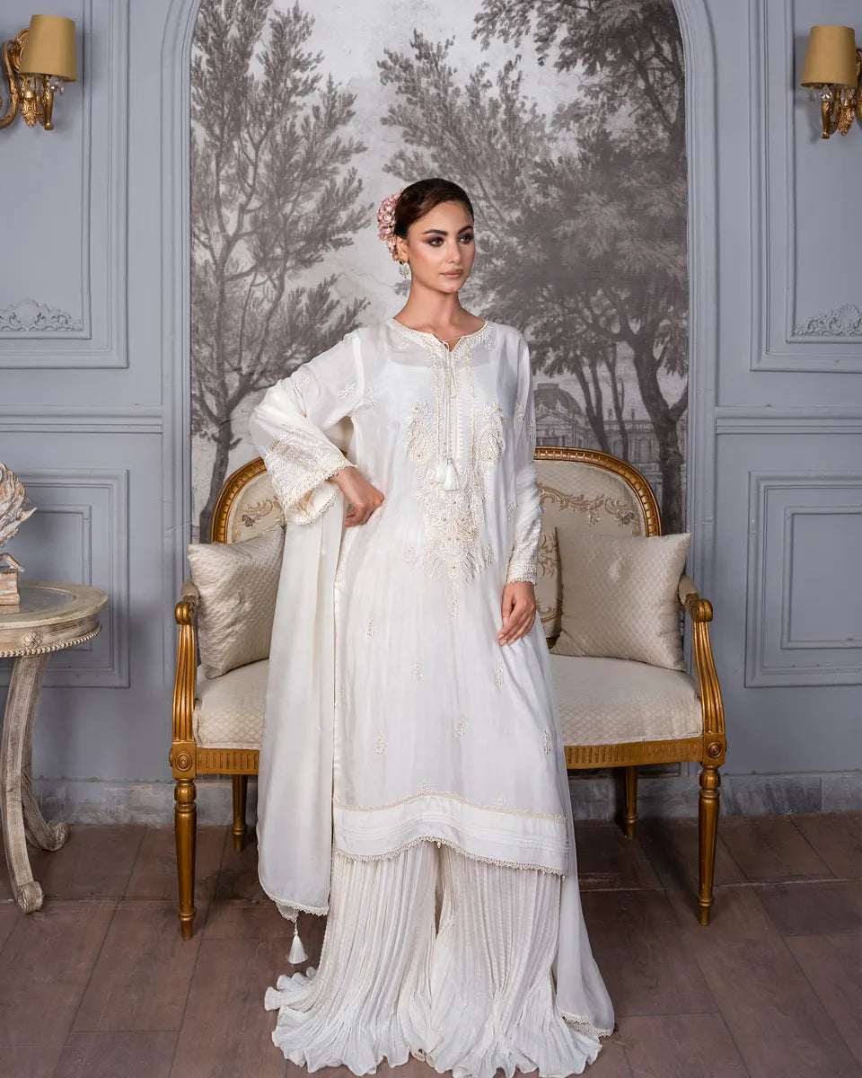 AQ-001 Embroided Partywear Stitched 3 pcs