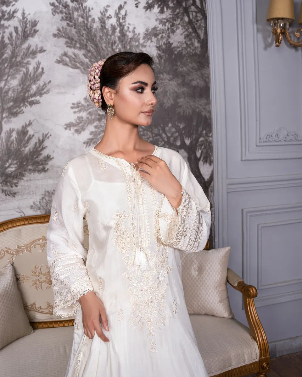 AQ-001 Embroided Partywear Stitched 3 pcs