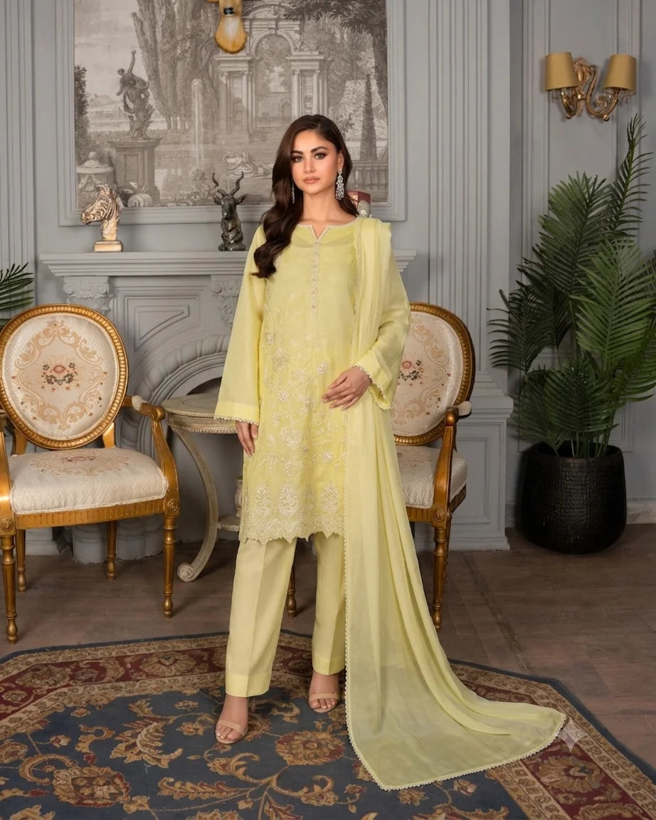 AQ-002 Embroided Partywear Stitched 3 pcs