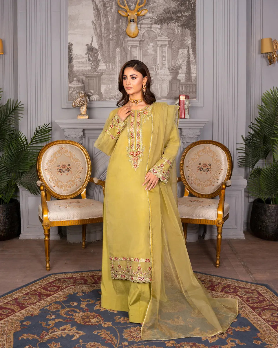 AQ-006 Embroided Partywear Stitched 3 pcs