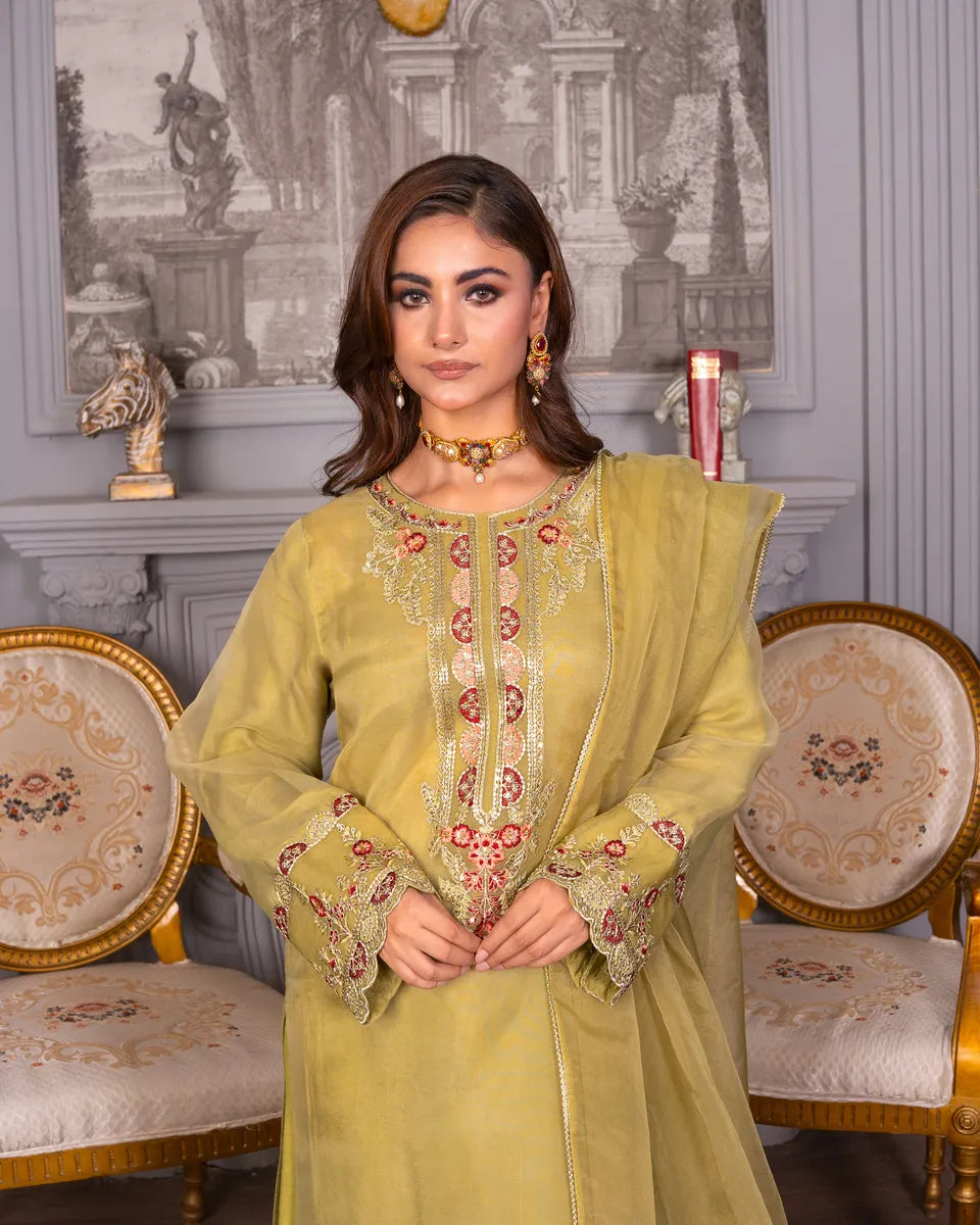 AQ-006 Embroided Partywear Stitched 3 pcs