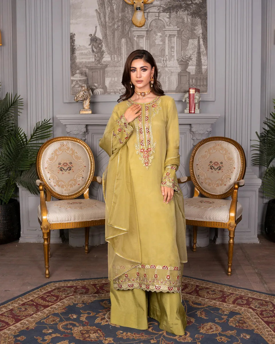 AQ-006 Embroided Partywear Stitched 3 pcs