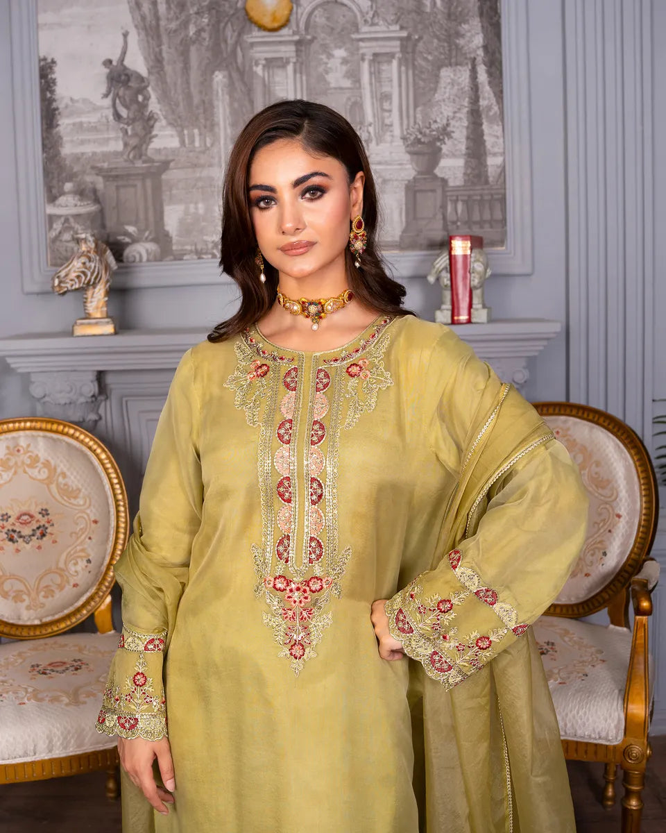 AQ-006 Embroided Partywear Stitched 3 pcs